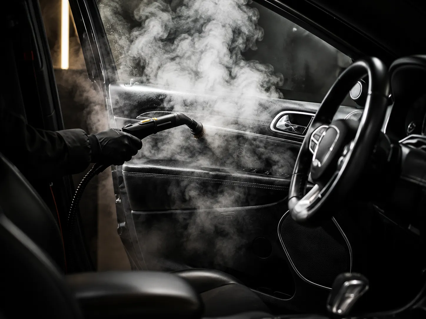 Steam interior cleaning service